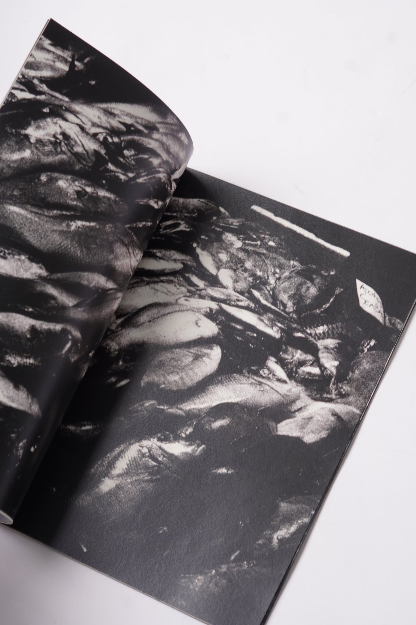 LIGALIG Zine